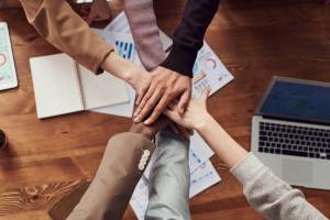 Les meilleures activités de team building en Provence pour renforcer la cohésion en équipe